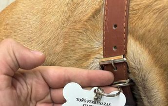 Una revisión en Control Canino confirmó que Toño no se encuentra en sus instalaciones | FOTO: Especial