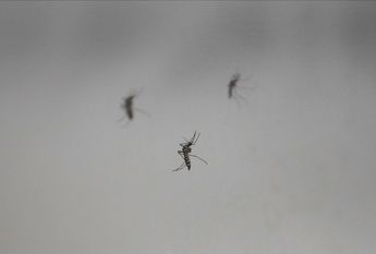 Los casos de dengue en Nuevo León han ido en considerable aumento. | Reuters