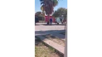Lerdo: Captan a mujer azotando a perro en colonia Las Margaritas
