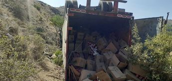 La unidad pesada quedó bocabajo tras caer durante más de 50 metros / Especial