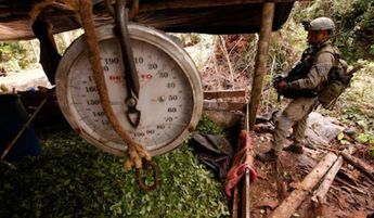 Los mexicanos usaron como pretexto la llamada “guerra contra el narco”.