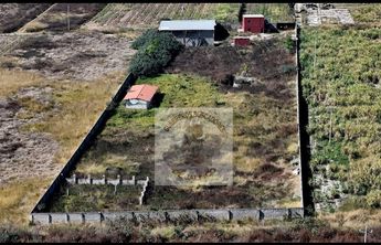 El colectivo señaló que la maleza inunda el lugar como muestra de abandono. | Guerreros Buscadores de Jalisco