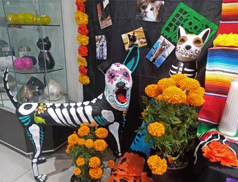 Los amigos de cuatro patas son recordados y despedidos dignamente en Memorial Friends / Leslie Mora