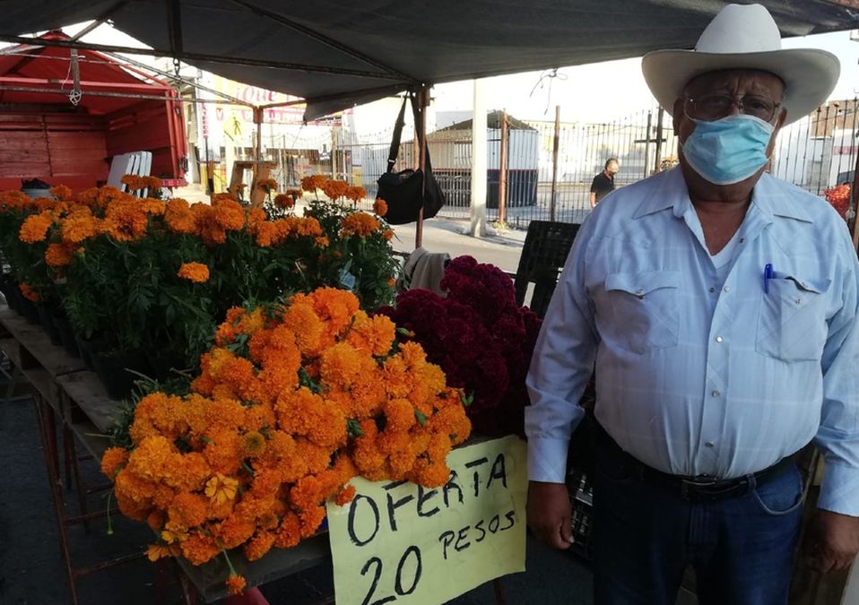 Comienza la venta de flores de cempasúchil 