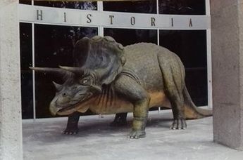 Museo de Historia Natural en Puebla / Archivo Paulo Cesar Vazquez Lozada