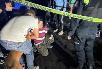 Tras una revisión se confirmó que la persona y sus mascotas resultaron ilesos. | Javier León