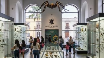 Familias completas pueden visitar el Museo del Bicho en Querétaro con un guía. Imagen ilustrativa creada con IA de Gemini.