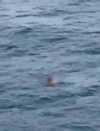 El hallazgo del cuerpo fue realizado duranta la mañana de este martes 7 de julio | Redes sociales