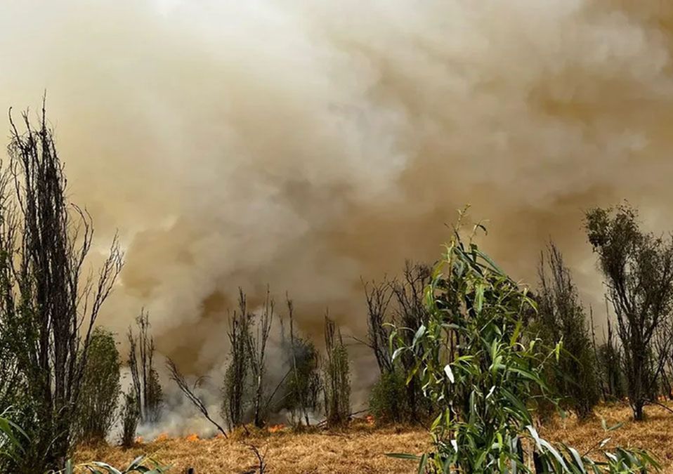 Se incendia Parque Ecológico en Xochimilco