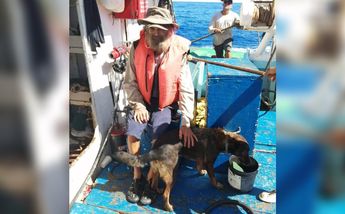 Náufrago rescatado acompañado de su perrito