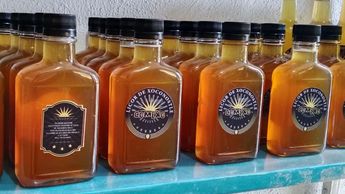 Las botellas de licor a base de nopal y xoconostle se encuentran en tamaños 775 y 220 mililitros, con 18 grados de alcohol | Jesús Bardales