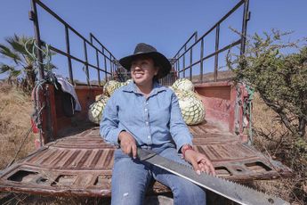 Las maestras mezcaleras han adoptado actividades que usualmente eran de hombres para la producción de la bebida / Andrés Lobato