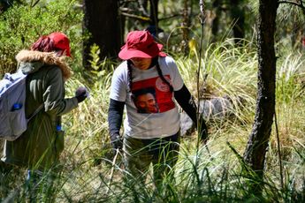 Las búsquedas en campo son organizadas por colectivos para tratar de hallar a sus familiares desaparecidos / Agencia EsImagen