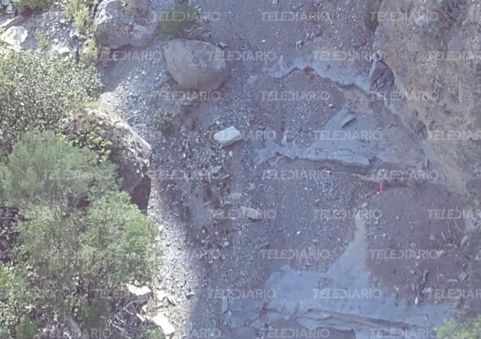 Encuentran cuerpo en Nuevo León; podría ser senderista desaparecida en Arteaga / Especial