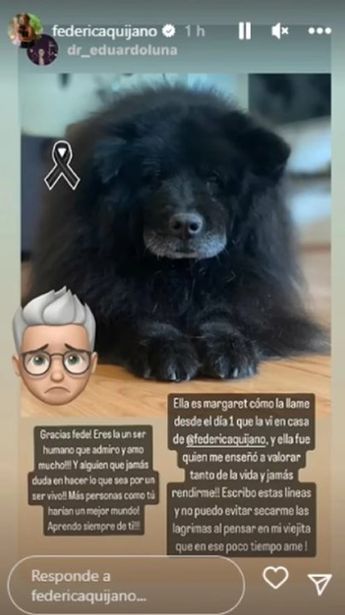 Federica Quijano comparte testimonio de veterinario