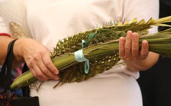 Las palmas del Domingo de Ramos se bendicen en misa y después se llevan a casa | Agencia Es Imagen