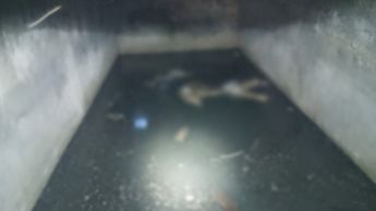 Hallan cuerpos en la presa El Cuchillo en Nuevo León | Especial