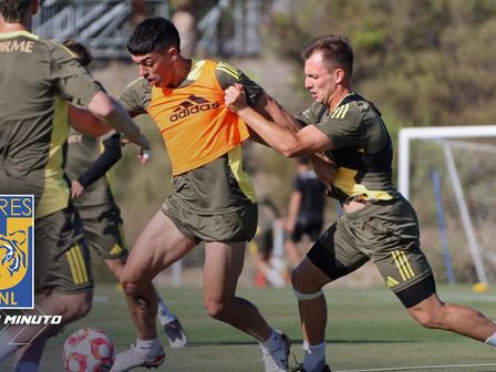 Entérate de las últimas noticias de Tigres HOY 18 de junio. / @TigresOficial