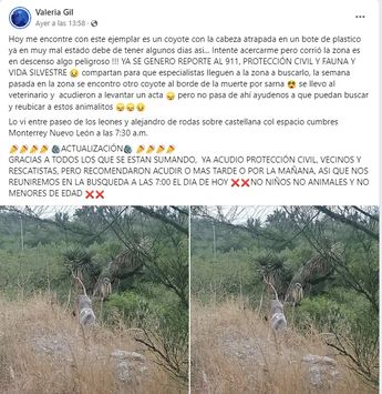 Usan dron térmico para la búsqueda / Especial