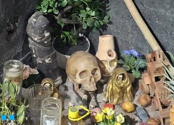 La SSC encontró un altar de santería adornado con frutas, piezas de cerámica y plantas / Carlos Vega