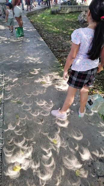Así fue el eclipse en Saltillo.