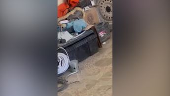 Visitantes de una quinta en Torreón graban hallazgo de víbora; Bomberos la liberan en el monte