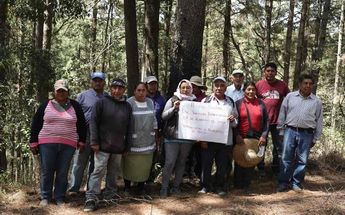 Integrantes del colectivo Artemali Ocoxal que fungen como guardianes del bosque | Daniel Casas |  Agencia Es Imagen