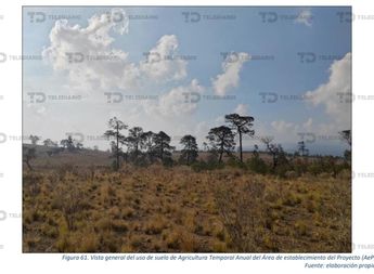 Vista general del uso de suelo para el proyecto de planta solar en la Sierra Nororiental de Puebla / Carlos Morales