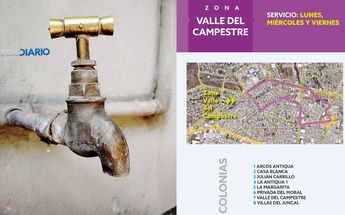Colonias impactadas en Valle del Campestre | Especial