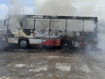 Elementos de Bomberos, Protección Civil y corporaciones de seguridad coordinaron las labores para sofocar el fuego y asegurar la zona.