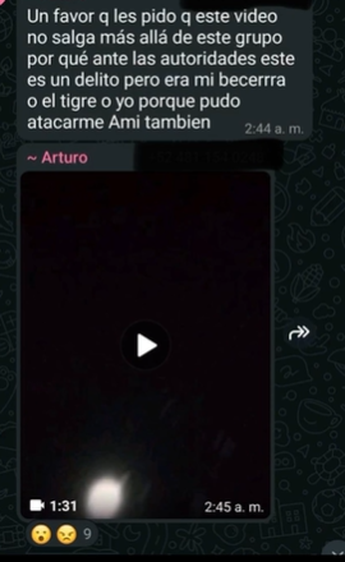 Captura de pantalla.