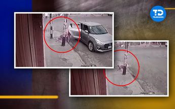 Abandonan a perrito en Tlalpan | Antonio Texta