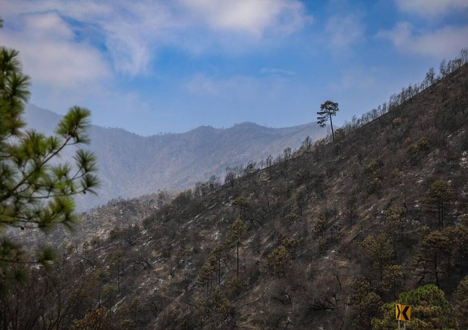 Incendio en sierra de Santiago / Cortesía