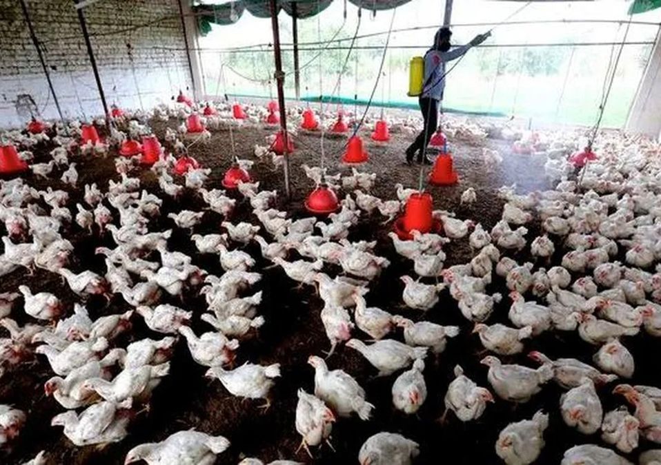 Salud NL revela que realizaron estudios de influenza aviar a 40 personas