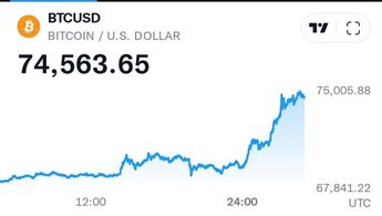 el Bitcoin, alcanzó un nuevo máximo histórico hasta los 75 mil dólares por unidad | Telediario