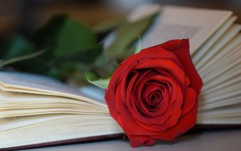 El Día del Libro y Sant Jordi se celebran el 23 de abril.