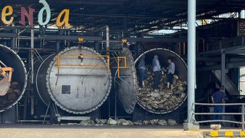 Trabajadores colocan piñas de agave en los hornos de cocción de la destilería La Rienda | Foto : Jorge Barajas