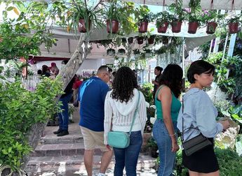 El Plant Fest es una oportunidad única para aprender más de la naturaleza y cómo cuidarla. | Cortesía