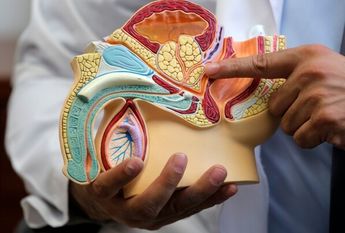 Hombres rechazan chequeos médicos para prevenir cáncer