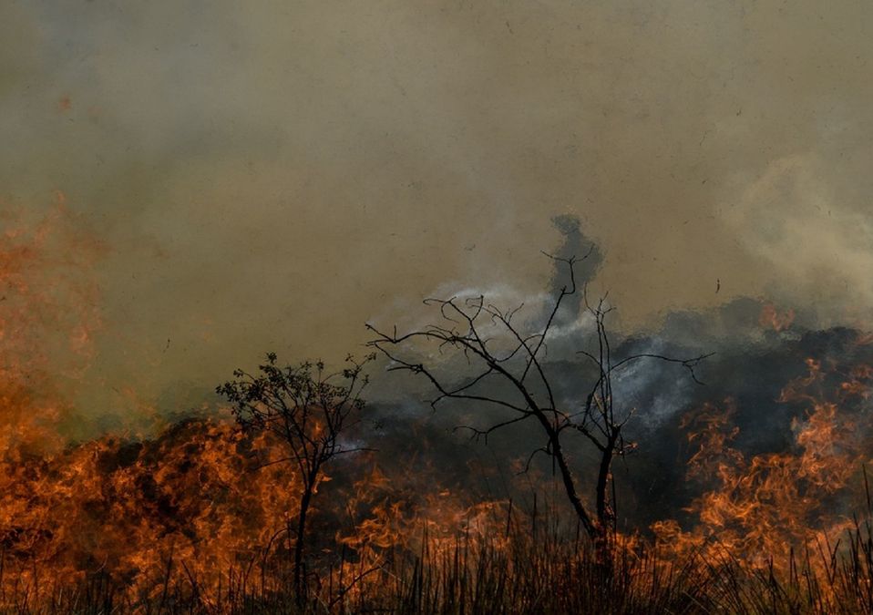 Las personas que provoquen incendios pueden ser sancionados con hasta 8 años de prisión | Cuartoscuro