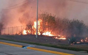 La Vocería de Seguridad del estado informó de incendios en varios municipios. | Especial