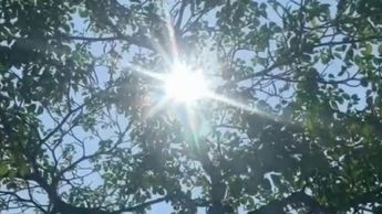 Golpe de calor en Veracruz deja a dos muertos; registran 40 grados de temperatura
