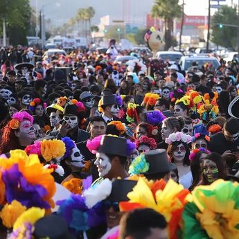 Las funciones de cine al aire libre incluirán títulos que conectan la fantasía con las tradiciones y la cultura mexicana. | Jazmín Hilario