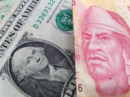 El dólar se mantiene en menos de 17.30 unidades en la segunda semana de febrero de 2026 | Freepik