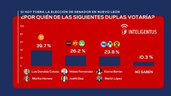 Por quién votarías para ser candidato a Senador en 2024. | Inteligentus