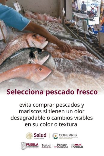 Cofepris invita a tener especial cuidado en la selección de alimentos del mar. | COFEPRIS