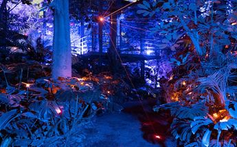 Las instalaciones lumínicas de Secret Garden mezclan elementos universales sobre la naturaleza, la vida, la muerte y el espacio | Secret Garden