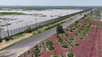 Barda perimetral del proyecto del NAIM