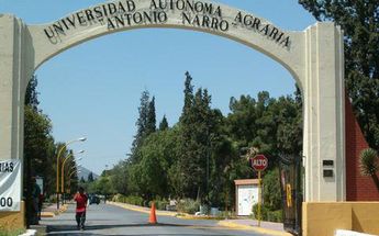 UAAAN trabaja en proyectos para alimentar al ganado a bajo costo