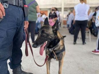 También hubo presencia de binomios caninos durante la operación. | Mayte Villasana